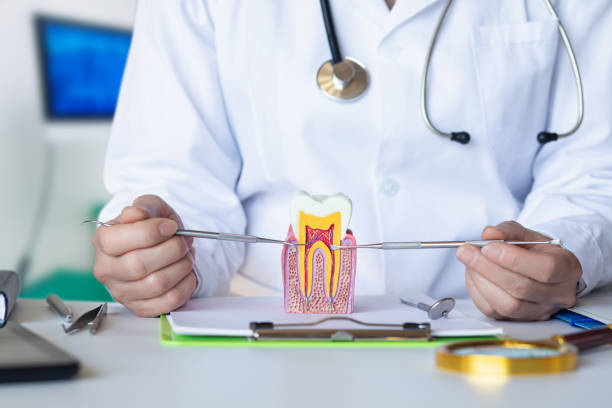 Best Emergency Dental Extractions in Peoria Heights, IL